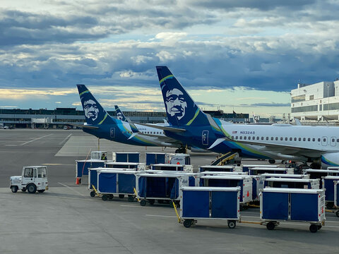 Alaska Airlines Boeing 737 at Ted Stevens Anchorage International Airport in Anchorage, Alaska. Luggage Smiling Inuit face on tail of the Alaska Airlines. Luggage trailers.