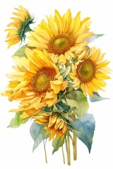 Vibrant watercolor sunflowers, a lush bundle of spring flowers, isolated on white background, vivid colors, high detail