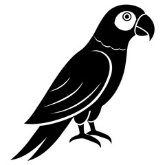 Flight of Elegance: Parrot Silhouette Design