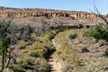 Chaco Wash, an arroyo (periodic stream) cutting through Chaco Canyon, Chaco Culture National...