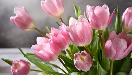 Obraz premium Pink blossom day beauty tulip valentine pastel flowers floral nature