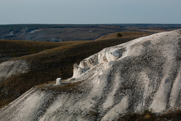 Chalk hills in the middle belt of Russia. Incredible species in wildlife. 