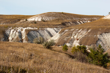 Chalk hills in the middle belt of Russia. Incredible species in wildlife. 