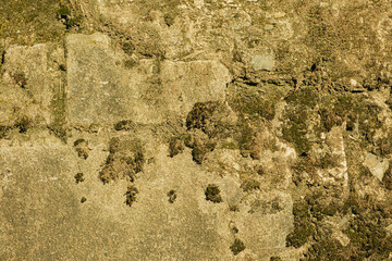 Close-up of concrete wall overgrown with moss and covered with dirt, background, texture.