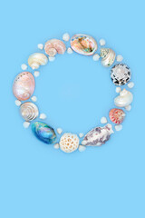 Mother of pearl and natural seashell wreath decoration on blue background. Seaside summer art design for logo or greeting card.