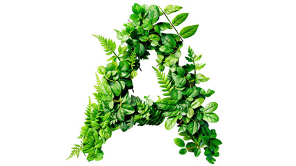 letter a made of leaves png cutout