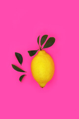 Summer lemon citrus fruit design with leaves on vivid pink gaudy background. Healthy food to help weight loss high in antioxidants, bio flavonoids and vitamin c.