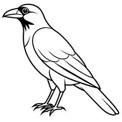 illustration of a bird vector illustration