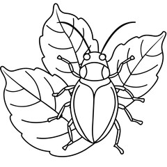 spider on a white background