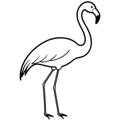 illustration of a flamingo