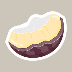 Dried and Fresh Coconuts Flat Stickers 
