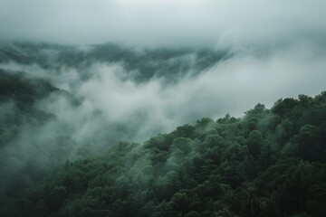 Rolling fog in a misty valley