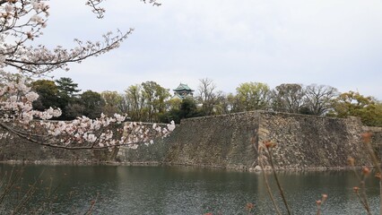 A distant view of the donjon of Osaka-jyo Castle and its stone walls