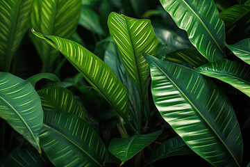 Close up of vibrant green leafy plant