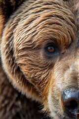 Close-up portrait of grizzly bear. Generative AI