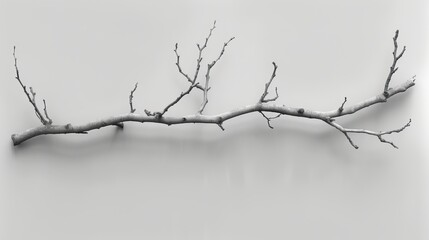   A monochrome image of a leafless tree branch harboring a perched bird - obrazy, fototapety, plakaty