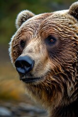 Obraz premium Close-up portrait of grizzly bear. Generative AI
