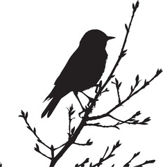 bird on a branch