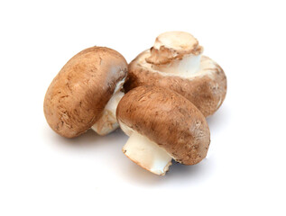 Brown mushrooms isolated on white background