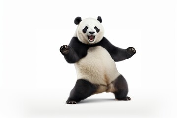 Happy smiling panda dancing wildlife animal mammal.