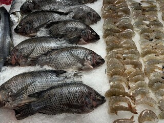 fresh fish on ice
