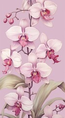 Vintage drawing orchid flower blossom pattern.