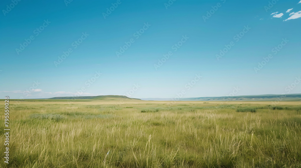 Wall mural a serene landscape featuring a lush green field under a clear blue sky with a single white cloud - Wall murals
