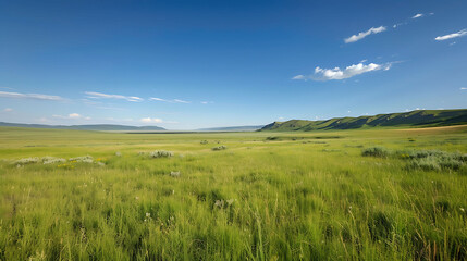 a serene landscape featuring a lush green field under a clear blue sky with fluffy white clouds