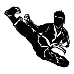 karate taekwondo fly jump kick