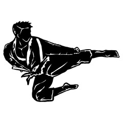 karate taekwondo fly jump kick © irvan