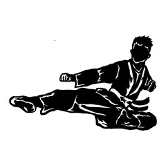karate taekwondo fly jump kick
