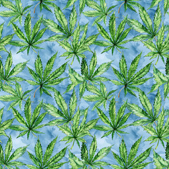 watercolor seamless pattern green marijuana cannabis leaves on a blue background