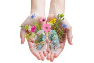 A woman's hand holding a lung organ with flowers isolated on a transparent background. Lung cancer awareness, World Pneumonia Day, Asthma, COPD, Hypertension