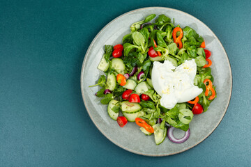 Light salad with Burrata cheese and vegetables