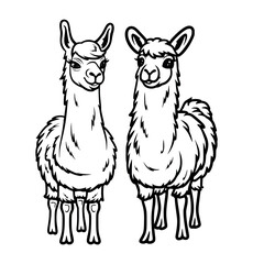 Two cute lama cartoon coloring page - coloring book for kids