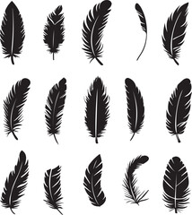 set of feathers vector