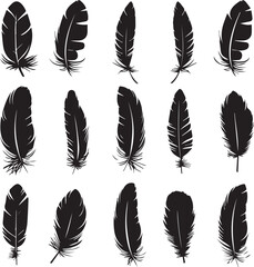 set of feathers silhouettes