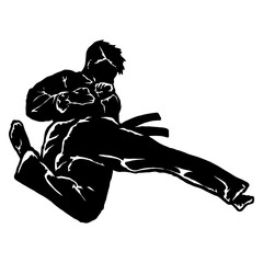 karate taekwondo fly jump kick