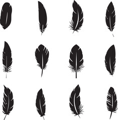 set of feathers