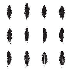 set of silhouettes of feathers