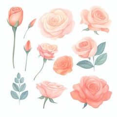 Elegant collection of roses in watercolor, featuring soft pastel tones, each flower meticulously isolated on white, water color, drawing style, isolated clear background