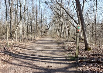The long empty hiking trail in the forest on a sunny day.