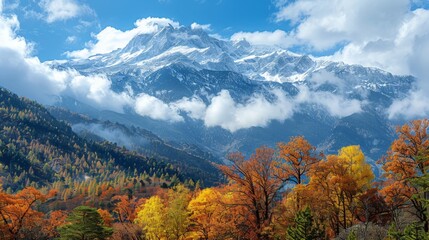 Snow-capped mountains and trees