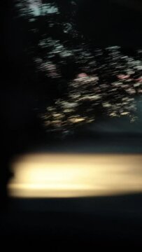 Viaje en coche al atardecer con vistas por la ventanilla hacia el exterior. 