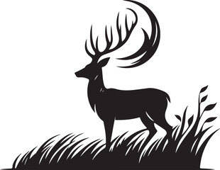 black and white flower