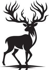 black and white flower