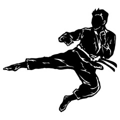 karate taekwondo fly jump kick