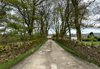 Fototapeta na wymiar Late winter on a narrow country road, with dry stone walls and tall trees, There are buildings visible in the distance, high on the hills near, Green Lane, Silsden, UK