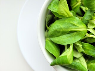 Vegan portion of spinach leaves.