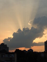 Sun rays in summer evening